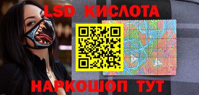 крисы Шелехов