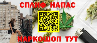 крисы Шелехов