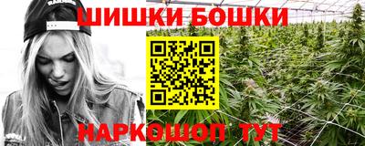 крисы Шелехов